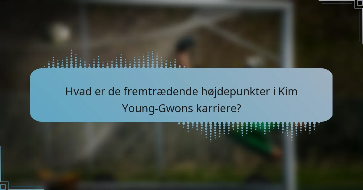 Hvad er de fremtrædende højdepunkter i Kim Young-Gwons karriere?