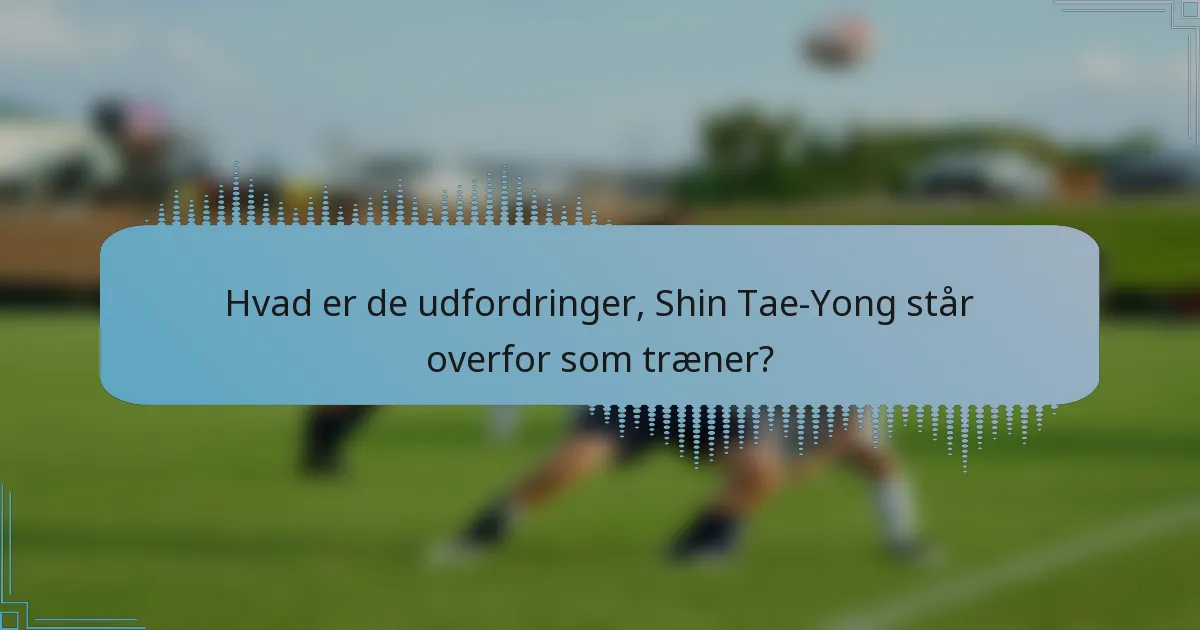 Hvad er de udfordringer, Shin Tae-Yong står overfor som træner?