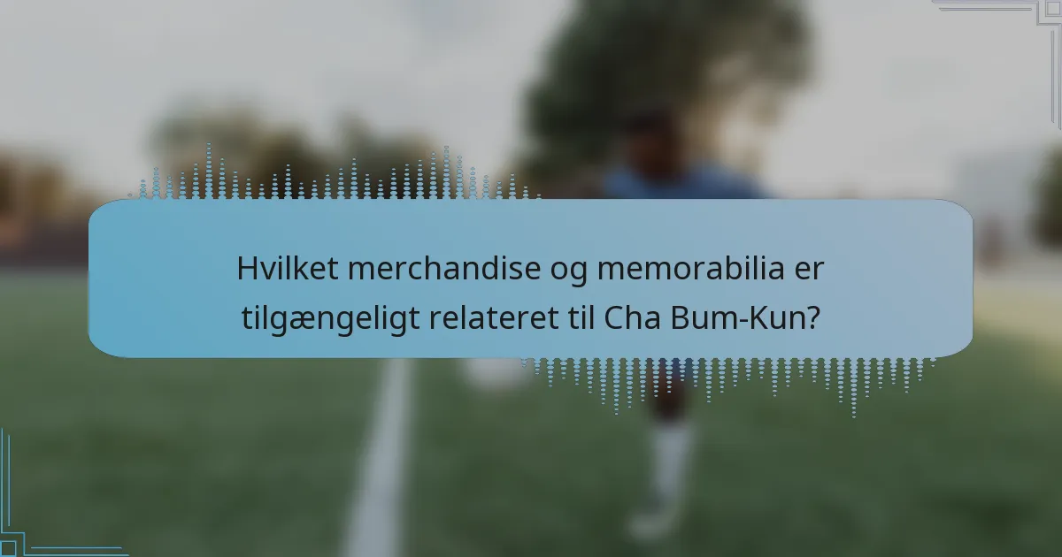 Hvilket merchandise og memorabilia er tilgængeligt relateret til Cha Bum-Kun?
